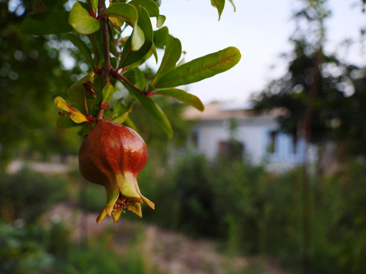 Camping Fiori Di Ното Екстериор снимка