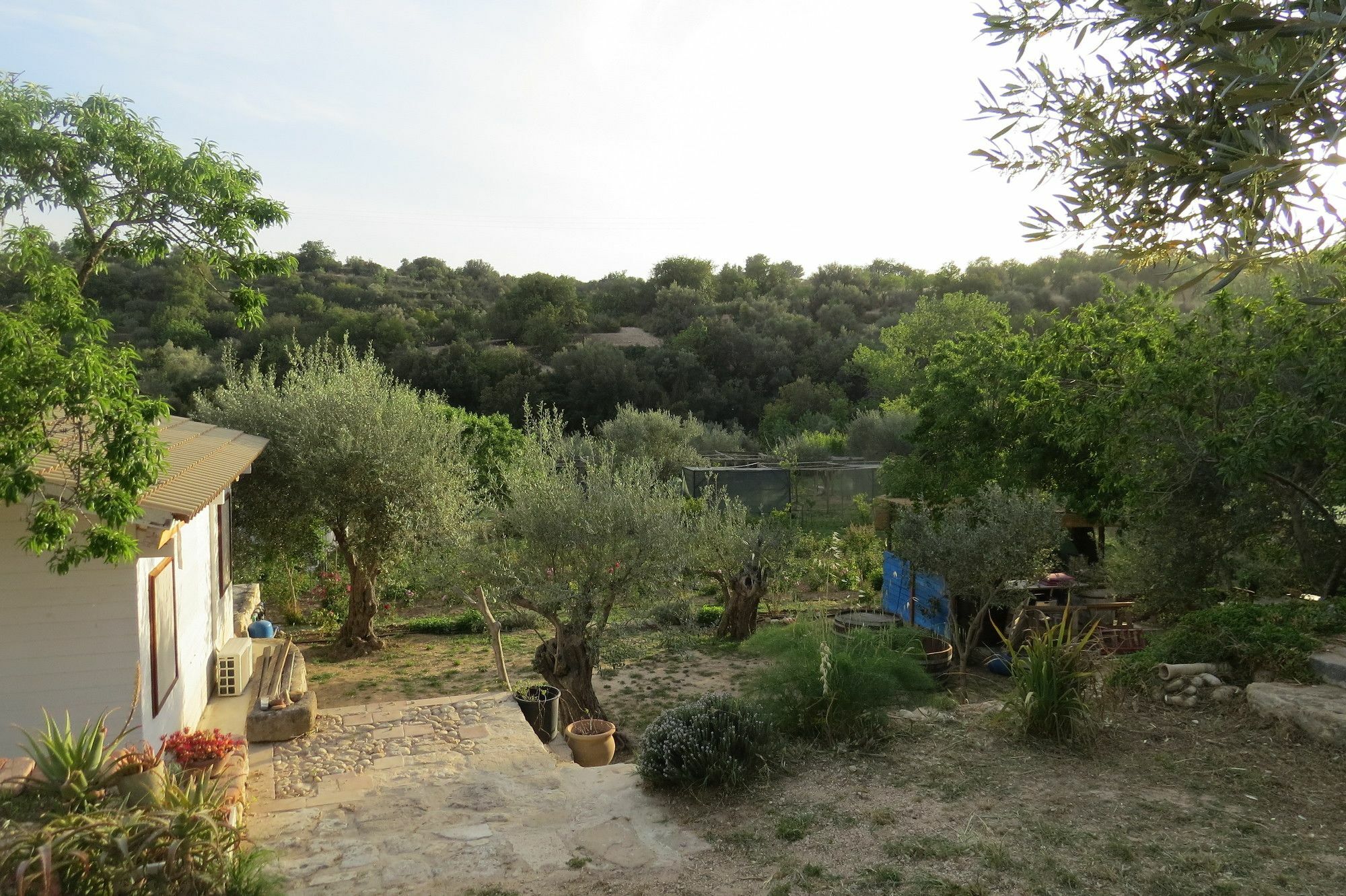 Camping Fiori Di Ното Екстериор снимка